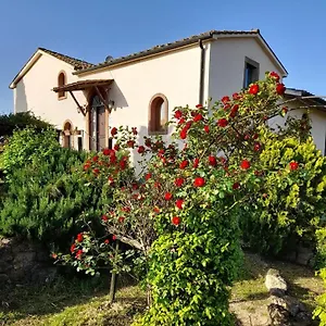 Borgo De' Muracci Alloggio per agriturismo Ribolla